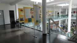 bienenausstellung kiezspinne aug2012