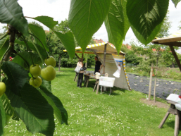 kirschen infostand hemmer ilse-demme hoelzer