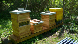 verschiedene bienenbeuten infostand suz claudia kapfer